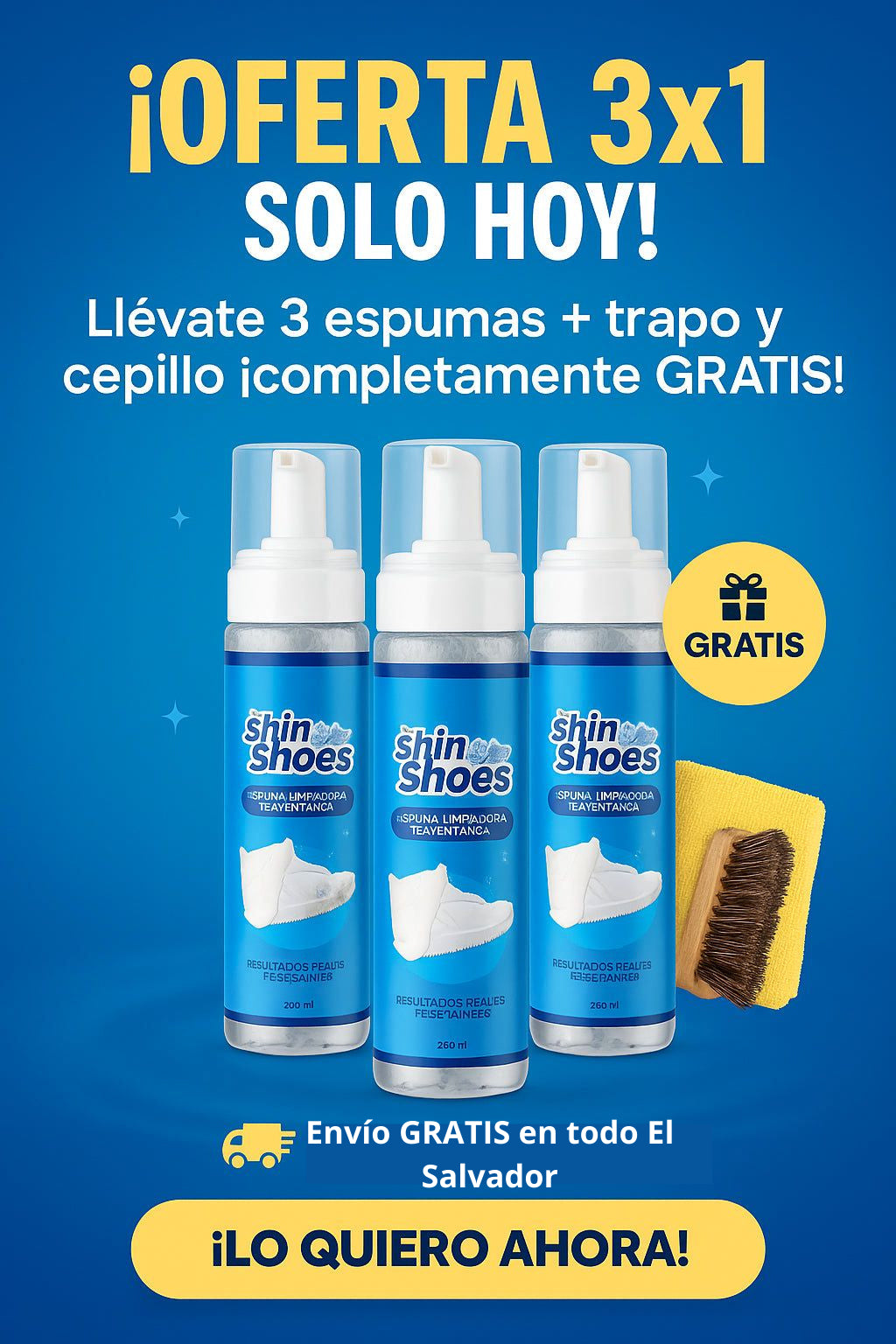 Shiny Shoes 3x1 kit limpia zapatos